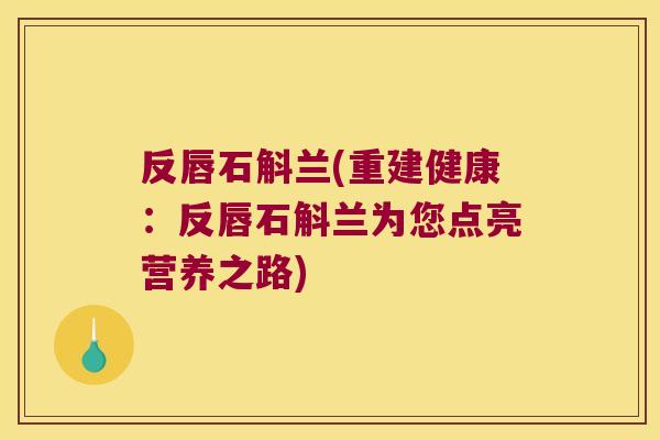 反唇石斛兰(重建健康：反唇石斛兰为您点亮营养之路)