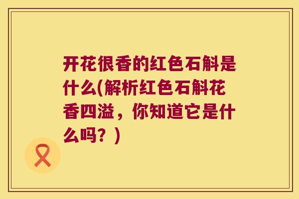 开花很香的红色石斛是什么(解析红色石斛花香四溢，你知道它是什么吗？)