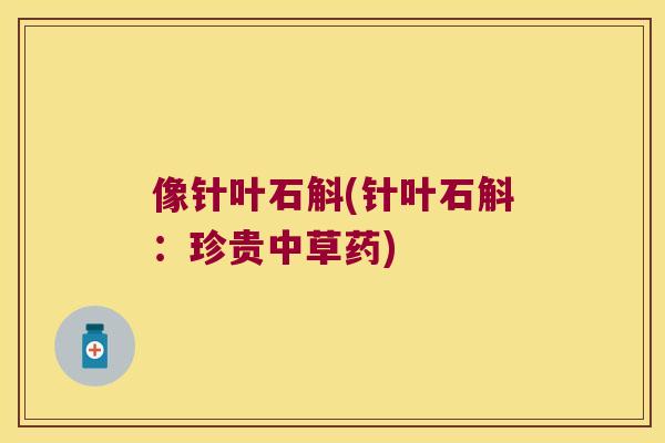 像针叶石斛(针叶石斛：珍贵中草药)