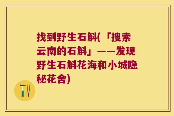 找到野生石斛(「搜索云南的石斛」——发现野生石斛花海和小城隐秘花舍)