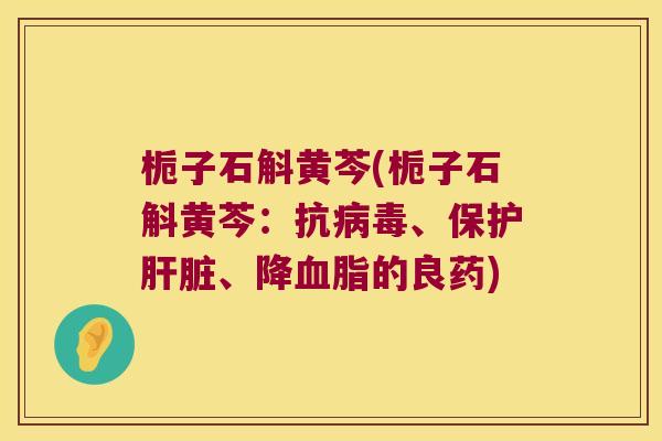 栀子石斛黄芩(栀子石斛黄芩：抗病毒、保护肝脏、降血脂的良药)