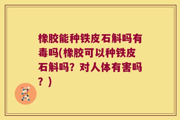 橡胶能种铁皮石斛吗有毒吗(橡胶可以种铁皮石斛吗？对人体有害吗？)