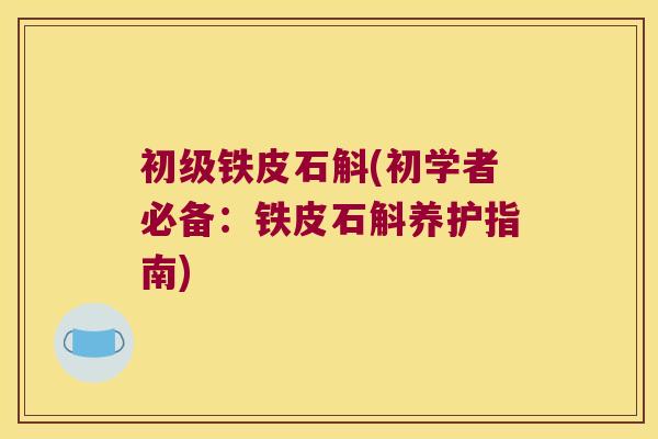 初级铁皮石斛(初学者必备：铁皮石斛养护指南)