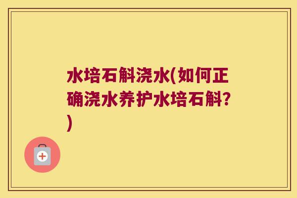 水培石斛浇水(如何正确浇水养护水培石斛？)