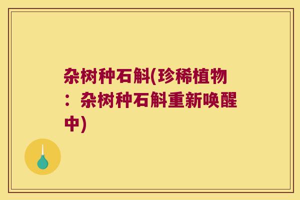 杂树种石斛(珍稀植物：杂树种石斛重新唤醒中)