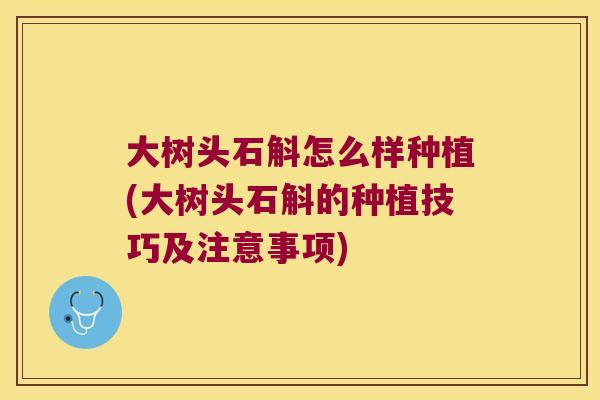 大树头石斛怎么样种植(大树头石斛的种植技巧及注意事项)