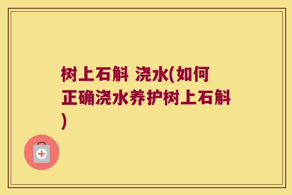 树上石斛 浇水(如何正确浇水养护树上石斛)