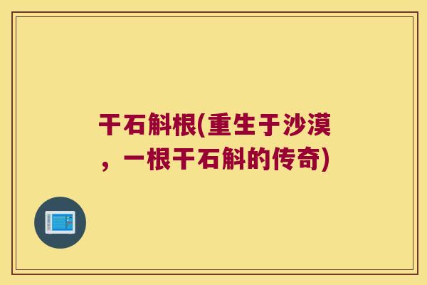 干石斛根(重生于沙漠，一根干石斛的传奇)