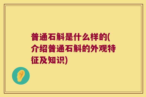 普通石斛是什么样的(介绍普通石斛的外观特征及知识)