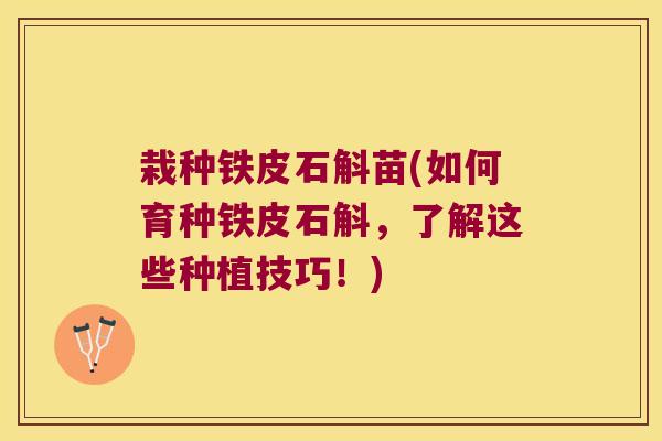 栽种铁皮石斛苗(如何育种铁皮石斛,了解这些种植技巧!) 栽种铁皮石斛苗(如何育种铁皮石斛,了解这些种植技巧!)