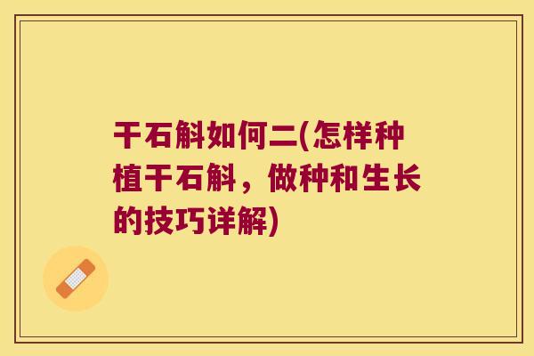 干石斛如何二(怎样种植干石斛,做种和生长的技巧详解) 干石斛如何二(怎样种植干石斛,做种和生长的技巧详解)