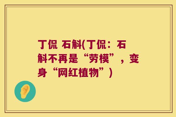 丁侃 石斛(丁侃：石斛不再是“劳模”，变身“网红植物”)