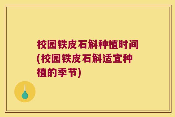 校园铁皮石斛种植时间(校园铁皮石斛适宜种植的季节)
