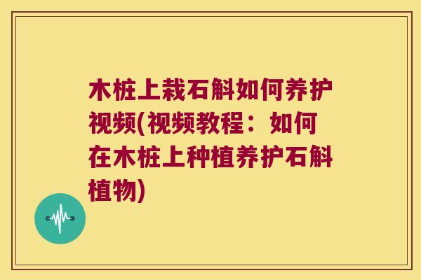 木桩上栽石斛如何养护视频(视频教程：如何在木桩上种植养护石斛植物)