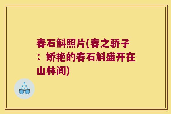 春石斛照片(春之骄子：娇艳的春石斛盛开在山林间)