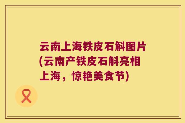 云南上海铁皮石斛图片(云南产铁皮石斛亮相上海，惊艳美食节)