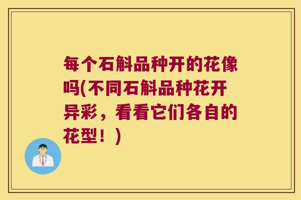 每个石斛品种开的花像吗(不同石斛品种花开异彩，看看它们各自的花型！)
