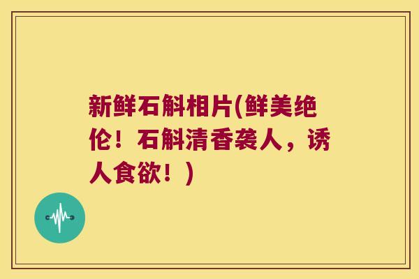 新鲜石斛相片(鲜美绝伦！石斛清香袭人，诱人食欲！)