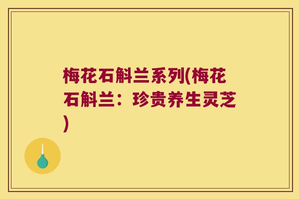 梅花石斛兰系列(梅花石斛兰：珍贵养生灵芝)