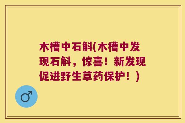 木槽中石斛(木槽中发现石斛，惊喜！新发现促进野生草药保护！)