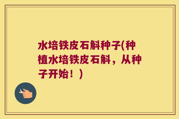 水培铁皮石斛种子(种植水培铁皮石斛，从种子开始！)