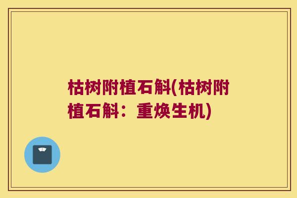 枯树附植石斛(枯树附植石斛：重焕生机)
