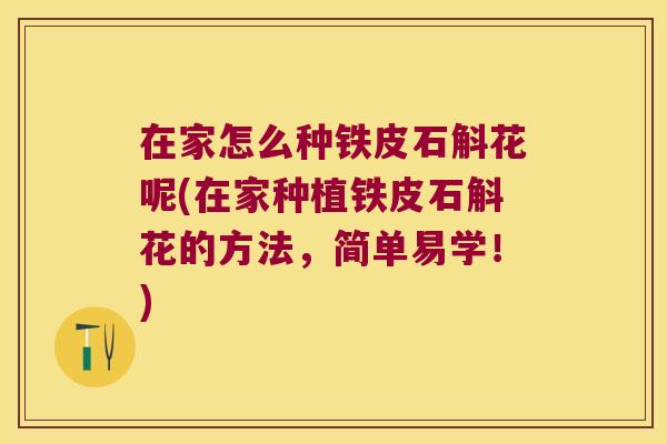 在家怎么种铁皮石斛花呢(在家种植铁皮石斛花的方法，简单易学！)