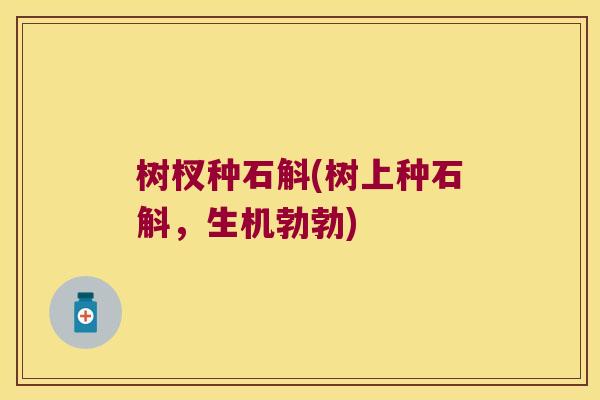 树杈种石斛(树上种石斛，生机勃勃)
