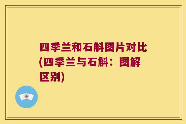 四季兰和石斛图片对比(四季兰与石斛：图解区别)