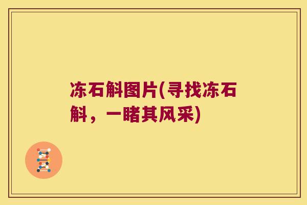 冻石斛图片(寻找冻石斛，一睹其风采)