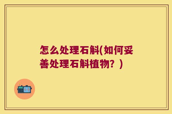 怎么处理石斛(如何妥善处理石斛植物？)