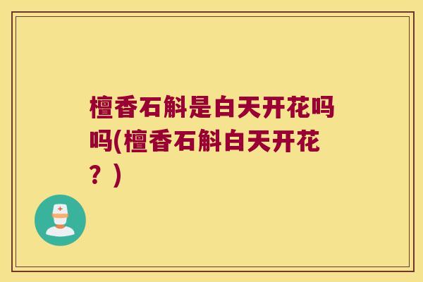 檀香石斛是白天开花吗吗(檀香石斛白天开花？)