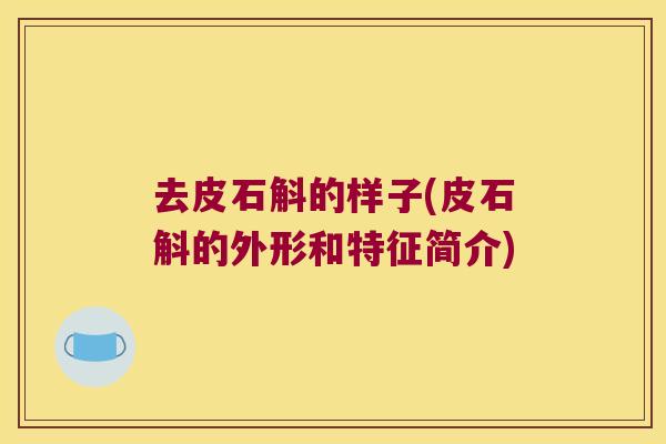 去皮石斛的样子(皮石斛的外形和特征简介)