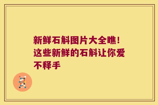 新鲜石斛图片大全瞧！这些新鲜的石斛让你爱不释手