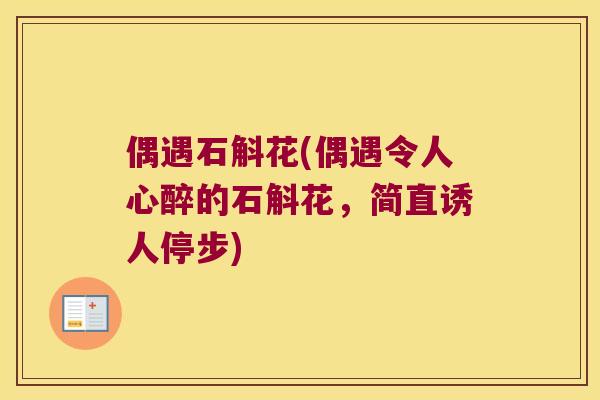 偶遇石斛花(偶遇令人心醉的石斛花，简直诱人停步)