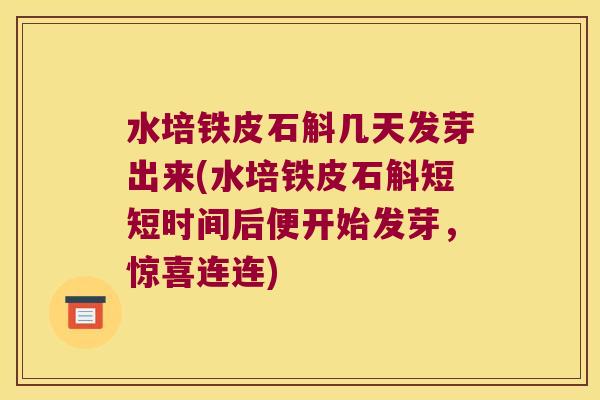 水培铁皮石斛几天发芽出来(水培铁皮石斛短短时间后便开始发芽，惊喜连连)