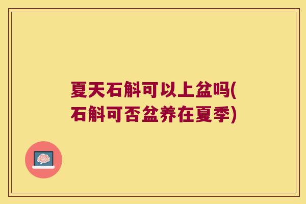夏天石斛可以上盆吗(石斛可否盆养在夏季)