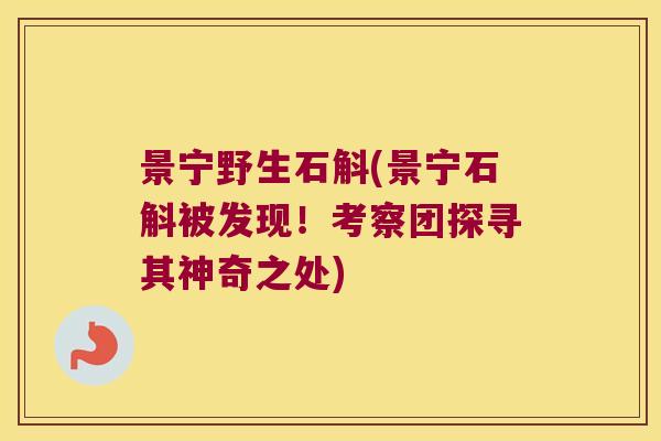 景宁野生石斛(景宁石斛被发现！考察团探寻其神奇之处)