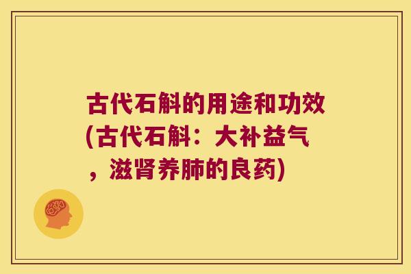 古代石斛的用途和功效(古代石斛：大补益气，滋养的良药)