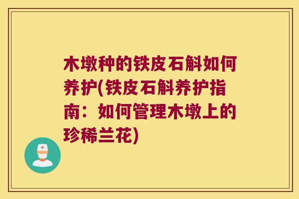 木墩种的铁皮石斛如何养护(铁皮石斛养护指南：如何管理木墩上的珍稀兰花)