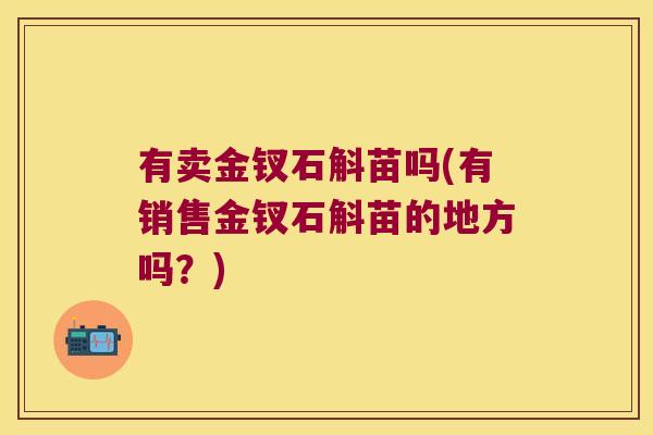 有卖金钗石斛苗吗(有销售金钗石斛苗的地方吗？)