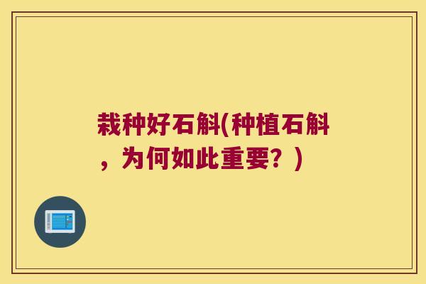 栽种好石斛(种植石斛，为何如此重要？)