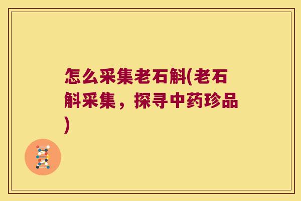 怎么采集老石斛(老石斛采集，探寻中药珍品)