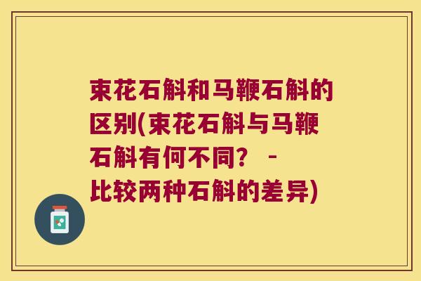 束花石斛和马鞭石斛的区别(束花石斛与马鞭石斛有何不同？ - 比较两种石斛的差异)