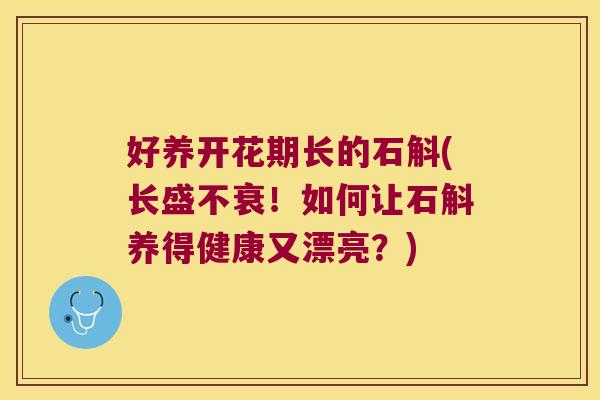 好养开花期长的石斛(长盛不衰！如何让石斛养得健康又漂亮？)
