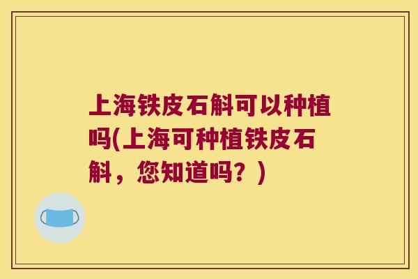 上海铁皮石斛可以种植吗(上海可种植铁皮石斛，您知道吗？)