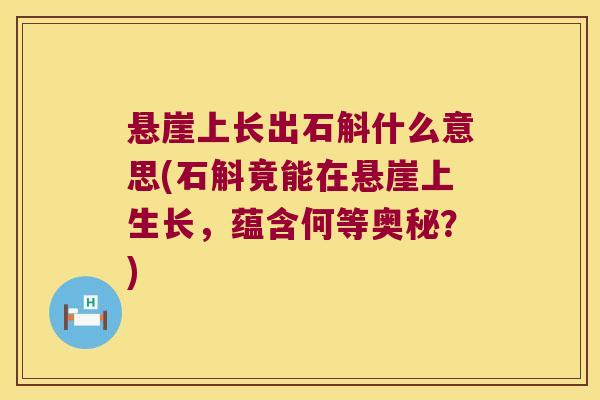 悬崖上长出石斛什么意思(石斛竟能在悬崖上生长，蕴含何等奥秘？)