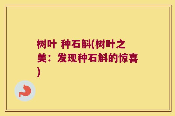 树叶 种石斛(树叶之美：发现种石斛的惊喜)