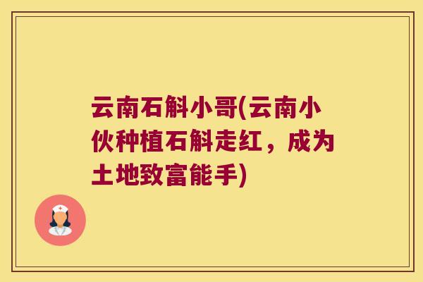 云南石斛小哥(云南小伙种植石斛走红，成为土地致富能手)