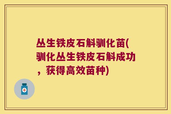 丛生铁皮石斛驯化苗(驯化丛生铁皮石斛成功，获得高效苗种)